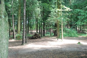 Photo credit: My Dad