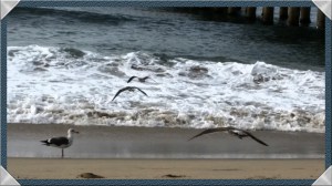 Is Your Creativity Soaring?