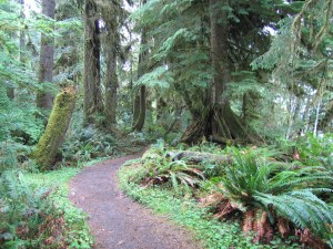 Photo credit: my father