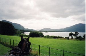 Killarney National Park