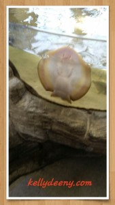 What story do you want to tell?