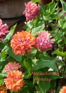 #MotivationalMonday 