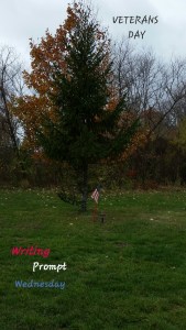 VETERANS DAY 2015